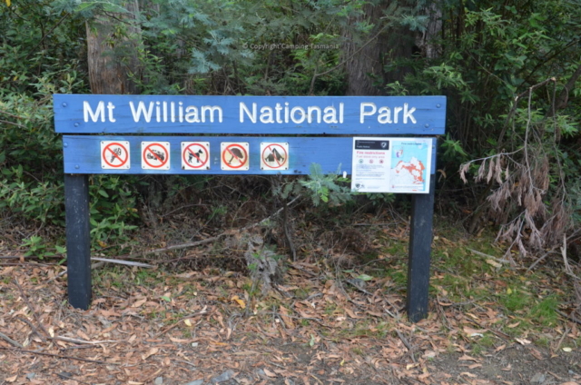 camping mt william national park