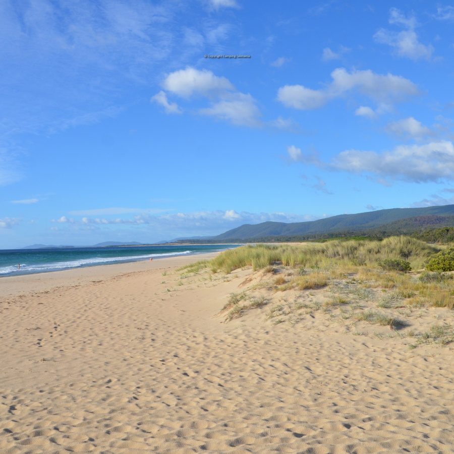 5 Best Free Campgrounds Tasmania